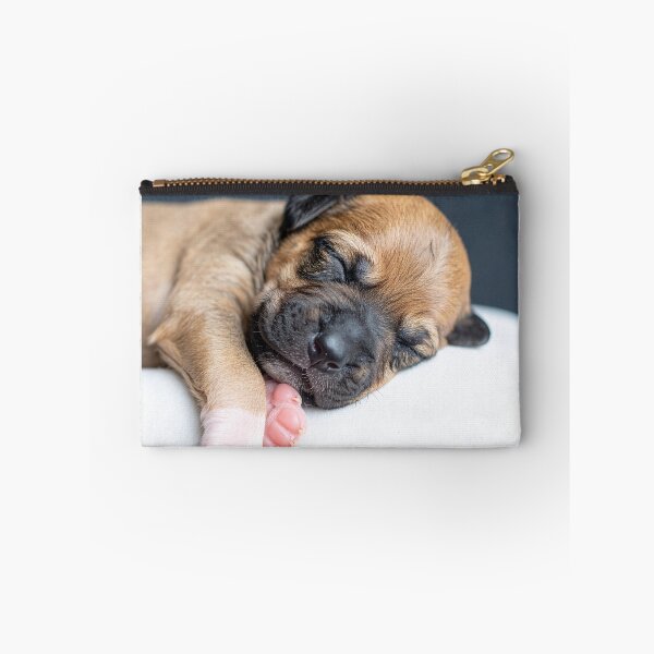Item preview, Sleeping Newborn Puppy Close-up Portrait - Soft Tiny Dog Photography - Serene Pet Aesthetic designed and sold by WildGentlemen.