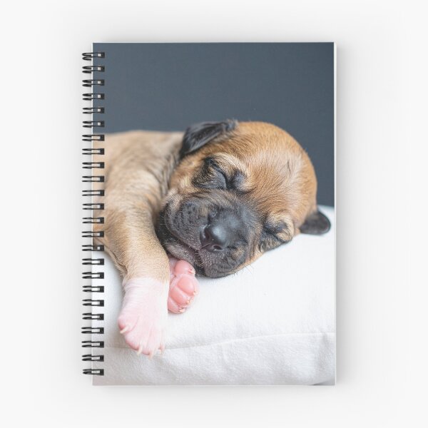 Item preview, Sleeping Newborn Puppy Close-up Portrait - Soft Tiny Dog Photography - Serene Pet Aesthetic designed and sold by WildGentlemen.