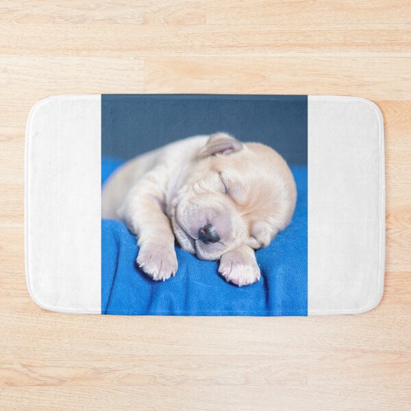 Item preview, Newborn Puppy Napping on Vibrant Blue Fabric - Soft Baby Dog Photography - Serene Pet Portrait designed and sold by WildGentlemen.