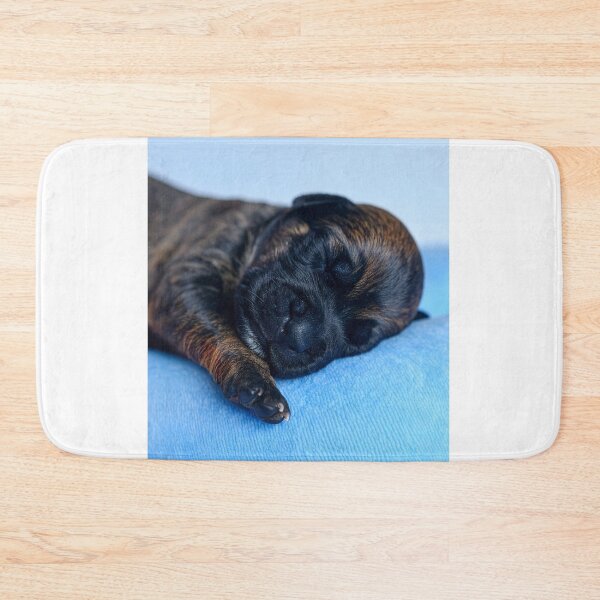 Item preview, Brindle Newborn Puppy Sleeping on Blue Pad - Tiny Dog Portrait - Calm Pet Photography designed and sold by WildGentlemen.