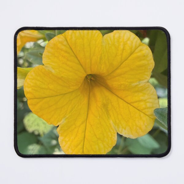 Item preview, Yellow Petunia Photograph designed and sold by Shannon Greve.