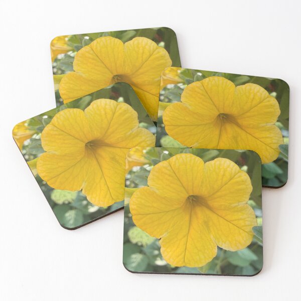 Item preview, Yellow Petunia Photograph designed and sold by Shannon Greve.