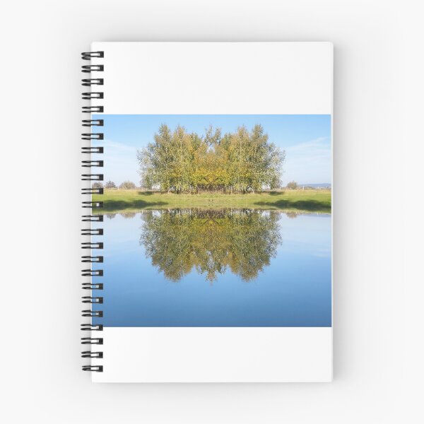 Item preview, Autumn Reflection Landscape designed and sold by Gabissq.