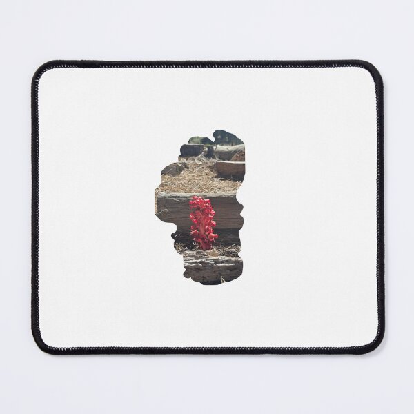 Item preview, Lake Tahoe Snow Plant designed and sold by HappilyAragon.
