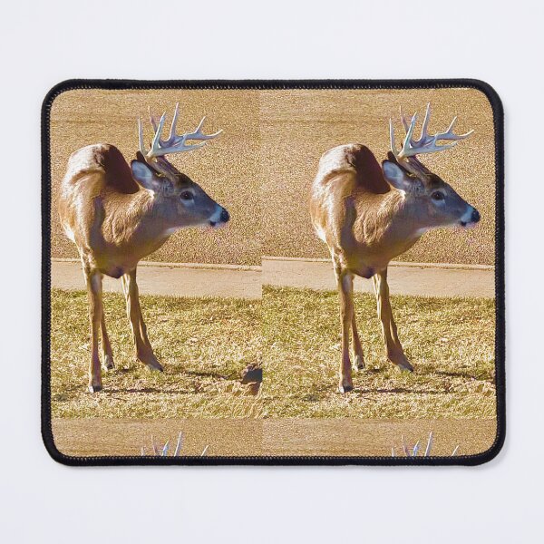 Item preview, Deer designed and sold by Bearbunz.