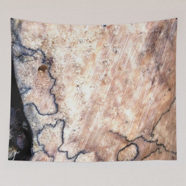 Item preview, Wild Woodgrain, REAL photograph designed and sold by GiSilver.