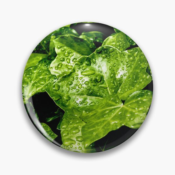 Item preview, Raindrops on Ivy designed and sold by Tom McPherson Photography.
