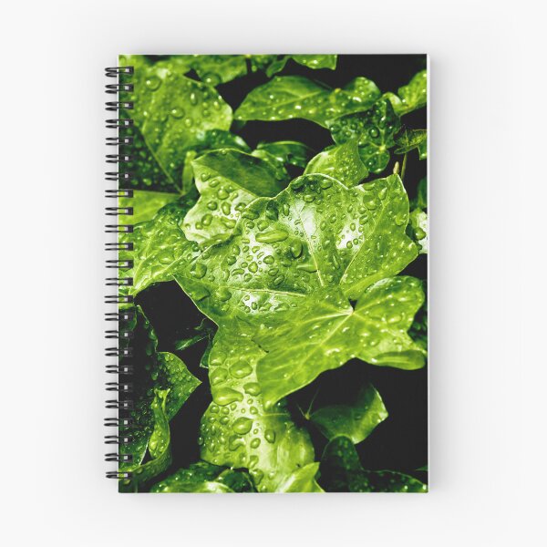 Item preview, Raindrops on Ivy designed and sold by Tom McPherson Photography.