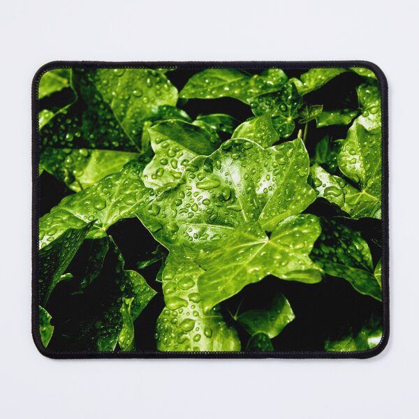 Item preview, Raindrops on Ivy designed and sold by Tom McPherson Photography.