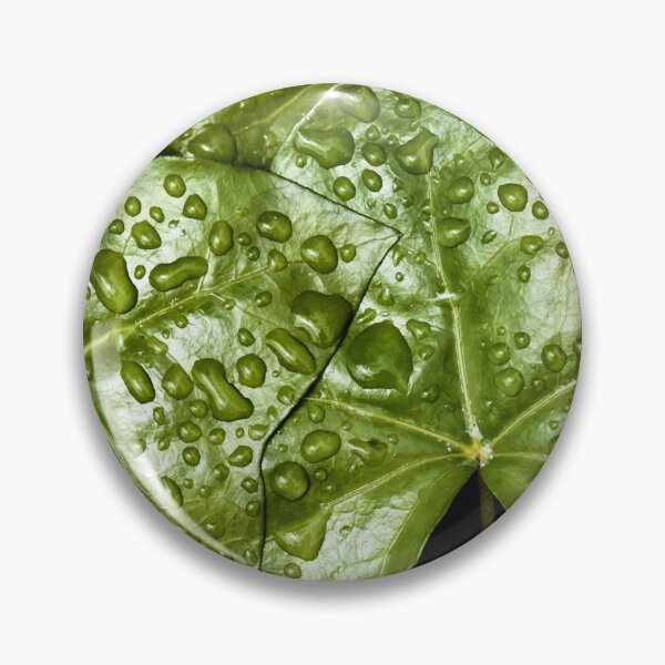 Item preview, Raindrops on Ivy designed and sold by Tom McPherson Photography.