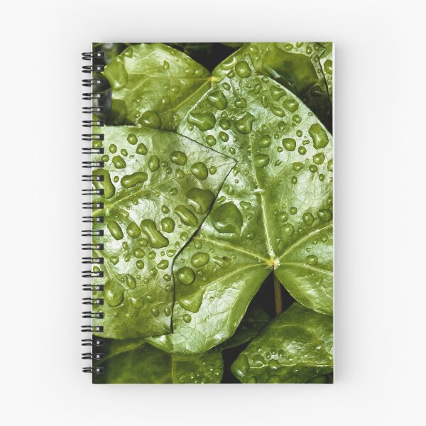 Item preview, Raindrops on Ivy designed and sold by Tom McPherson Photography.