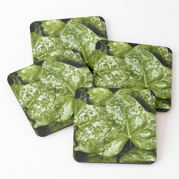 Item preview, Raindrops on Ivy designed and sold by Tom McPherson Photography.