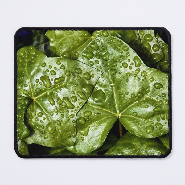 Item preview, Raindrops on Ivy designed and sold by Tom McPherson Photography.