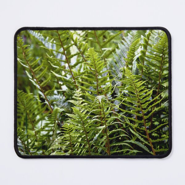 Item preview, Ferns Macro designed and sold by Tom McPherson Photography.