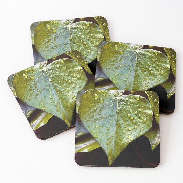 Item preview, Raindrops on Ivy designed and sold by Tom McPherson Photography.