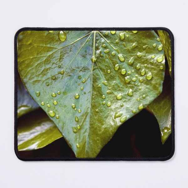 Item preview, Raindrops on Ivy designed and sold by Tom McPherson Photography.