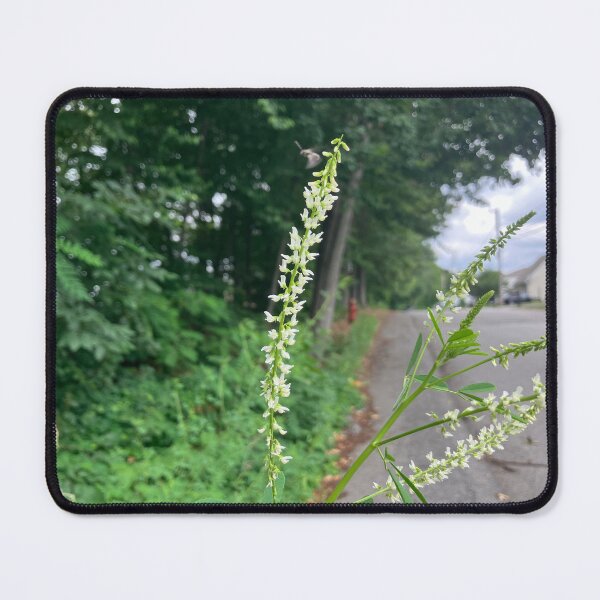 Item preview, Honey Clover designed and sold by Amanda1775.