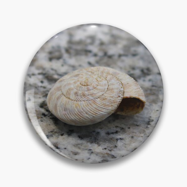 Item preview, Snail shell designed and sold by McFleur's Lens.