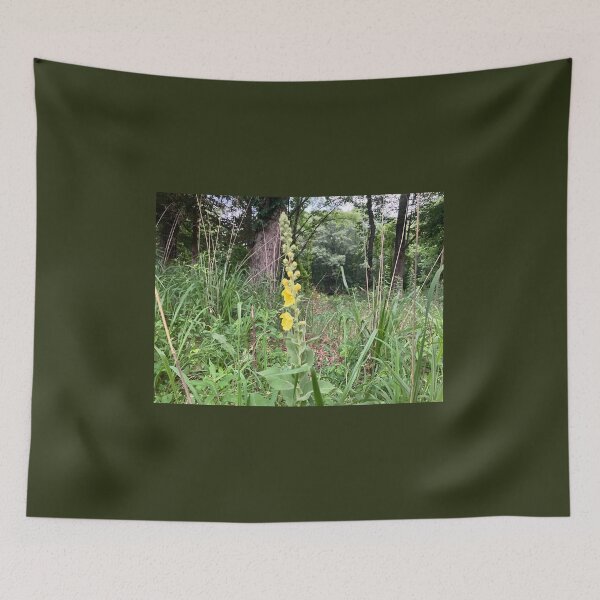 Item preview, Woolly Mullen at Forest’s Edge  designed and sold by Amanda1775.