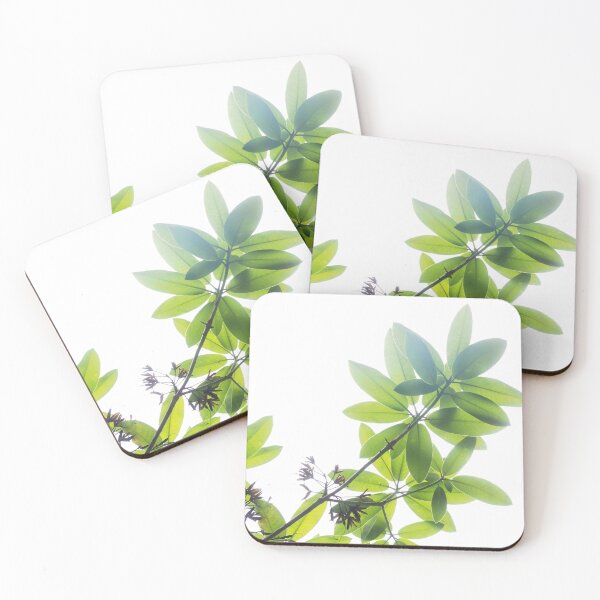 Item preview, Leaves backlit by white light designed and sold by - Designspace -.