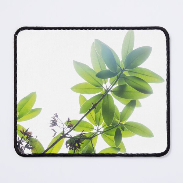 Item preview, Leaves backlit by white light designed and sold by - Designspace -.