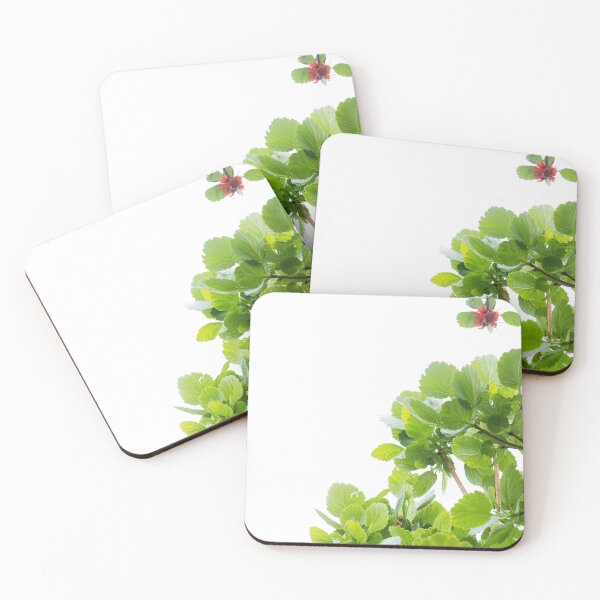 Item preview, Copy of Leaves backlit by white light designed and sold by - Designspace -.