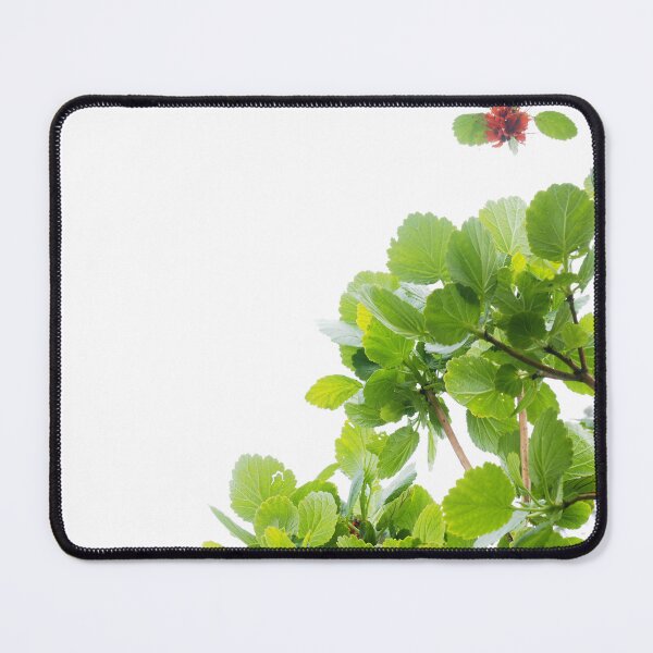 Item preview, Copy of Leaves backlit by white light designed and sold by - Designspace -.