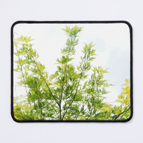 Item preview, Copy of Leaves backlit by white light designed and sold by - Designspace -.
