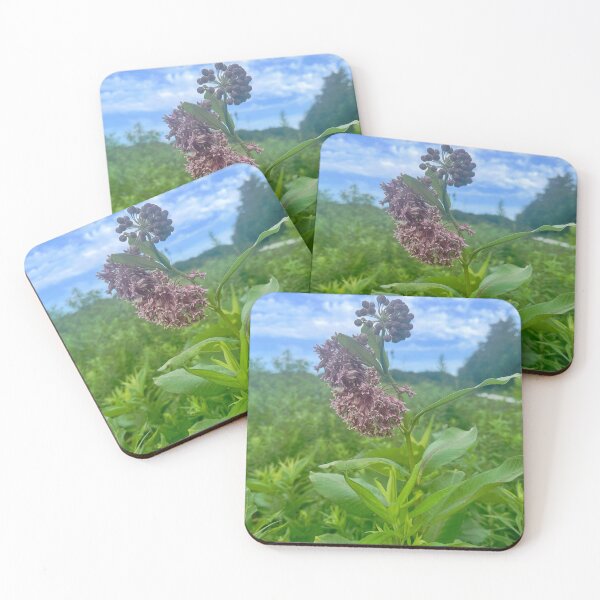 Item preview, Silky Swallow-Wort designed and sold by SLDreamwalker.