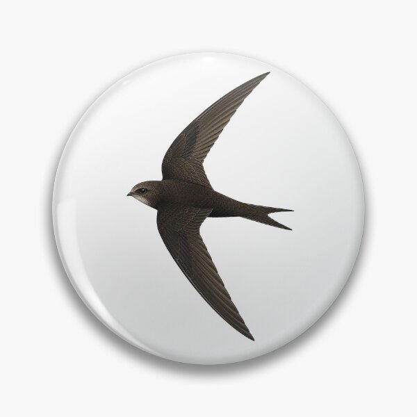 Item preview, Swift designed and sold by jamesgerardking.