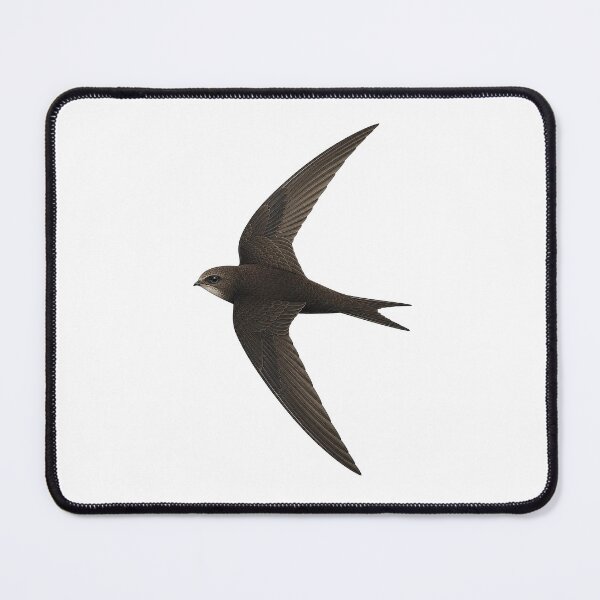 Item preview, Swift designed and sold by jamesgerardking.