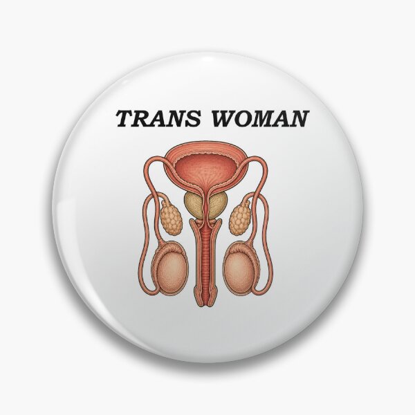 Item preview, Anatomy of a Trans Female  designed and sold by Gutowawskibaby.