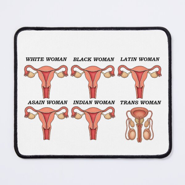 Item preview, Anatomy of a Trans Female  designed and sold by Gutowawskibaby.