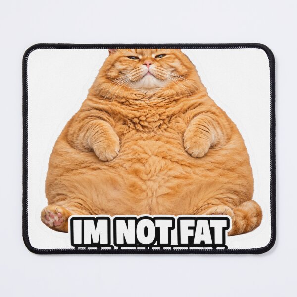 Item preview, Im Not Fat Im Fluffy Funny Chonky Cat Meme designed and sold by MoodyMeows.