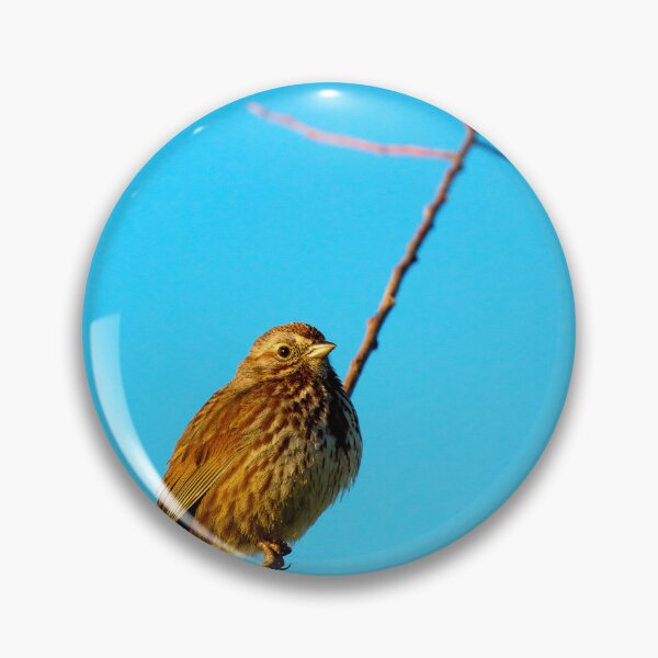 Item preview, Sparrow Perched on a Twig designed and sold by jklune.