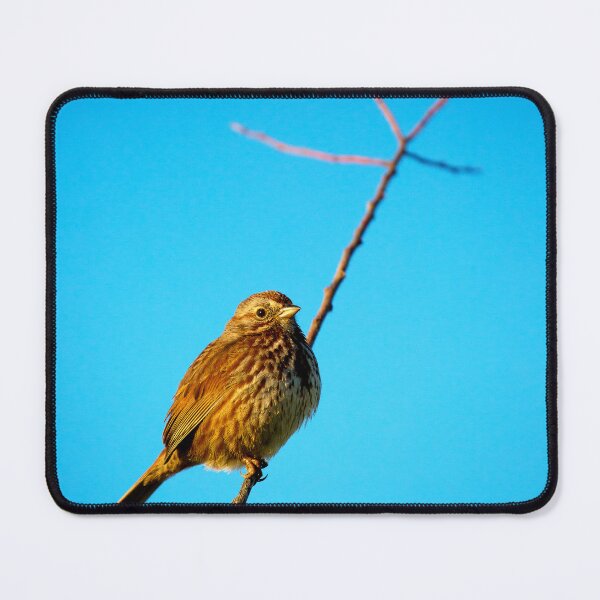 Item preview, Sparrow Perched on a Twig designed and sold by jklune.