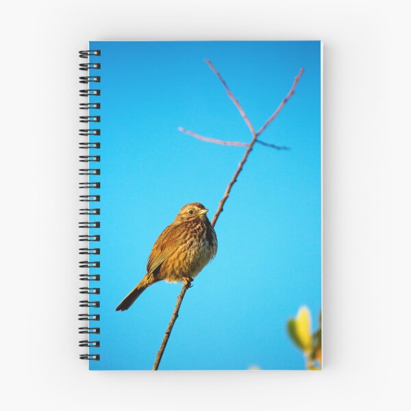 Item preview, Sparrow Perched on a Twig designed and sold by jklune.