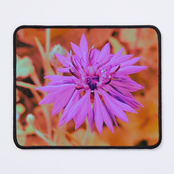 Item preview, Corny 2.8 designed and sold by Abeink1030.