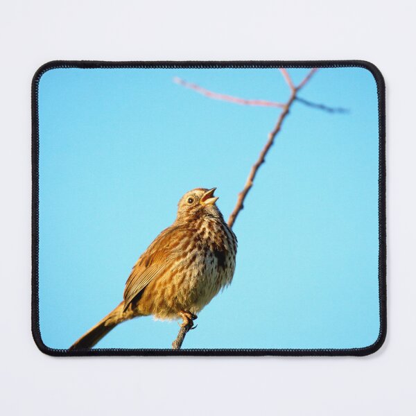 Item preview, Bird Perched on a Branch designed and sold by jklune.