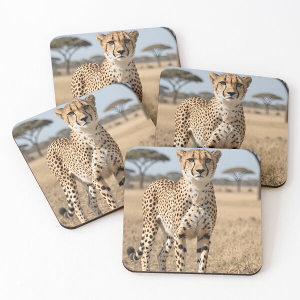 Item preview, Majestic Cheetah on the African Savannah designed and sold by Yourstore 2050.