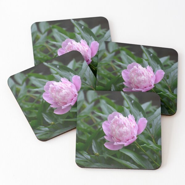 Item preview, A Pop of Pink designed and sold by mmcpix.