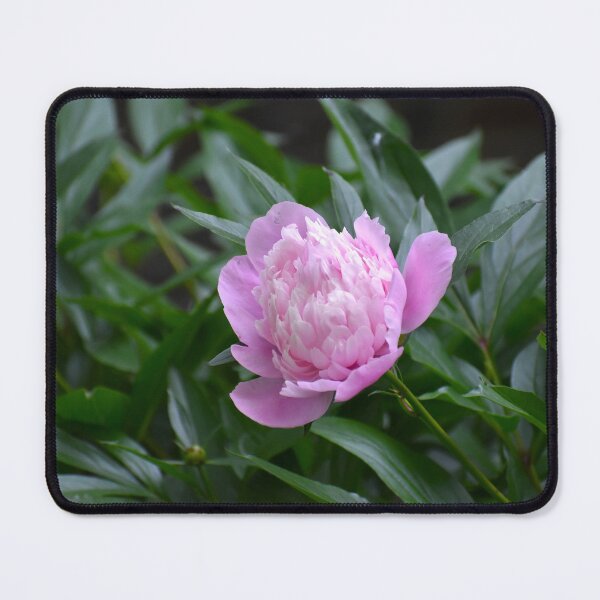 Item preview, A Pop of Pink designed and sold by mmcpix.