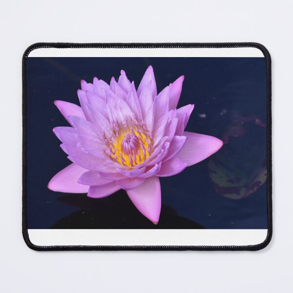 Item preview, Lovely Water Lily designed and sold by mmcpix.