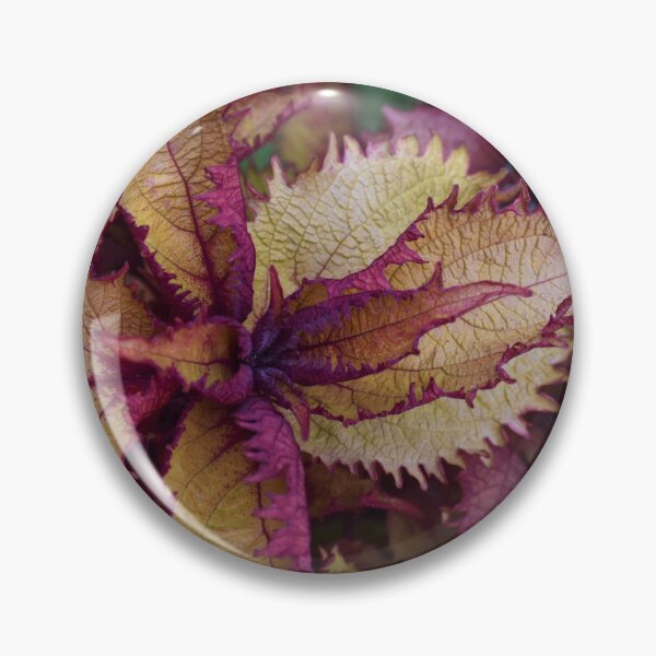 Item preview, follaje otoñal designed and sold by mmcpix.