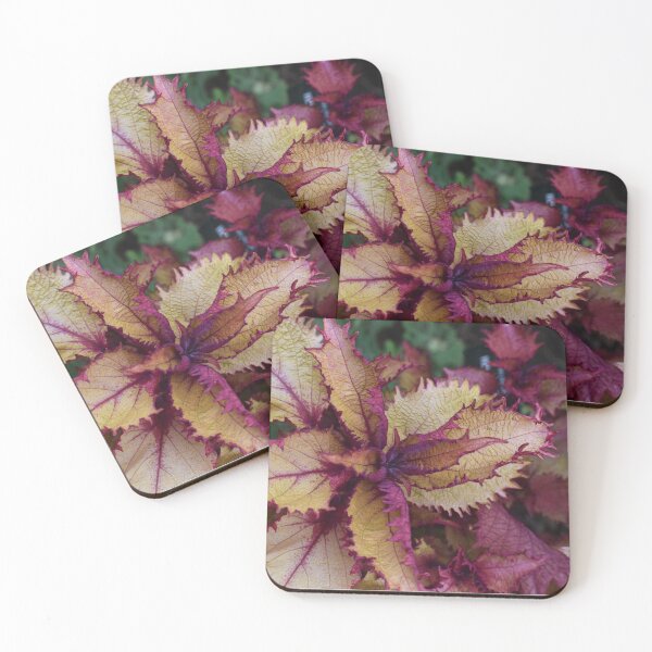 Item preview, Autumn foliage designed and sold by mmcpix.