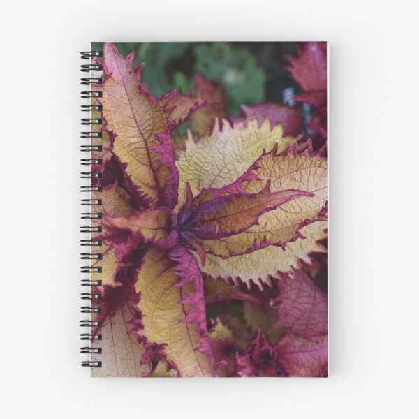 Item preview, Autumn foliage designed and sold by mmcpix.