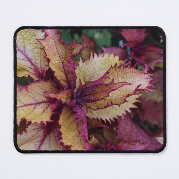 Item preview, Autumn foliage designed and sold by mmcpix.