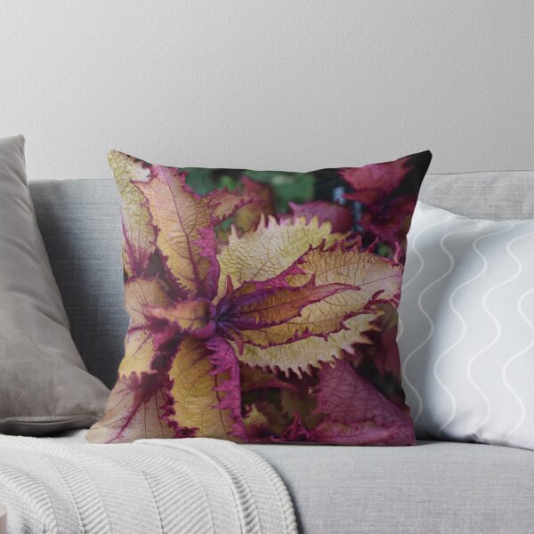 Item preview, Autumn foliage designed and sold by mmcpix.