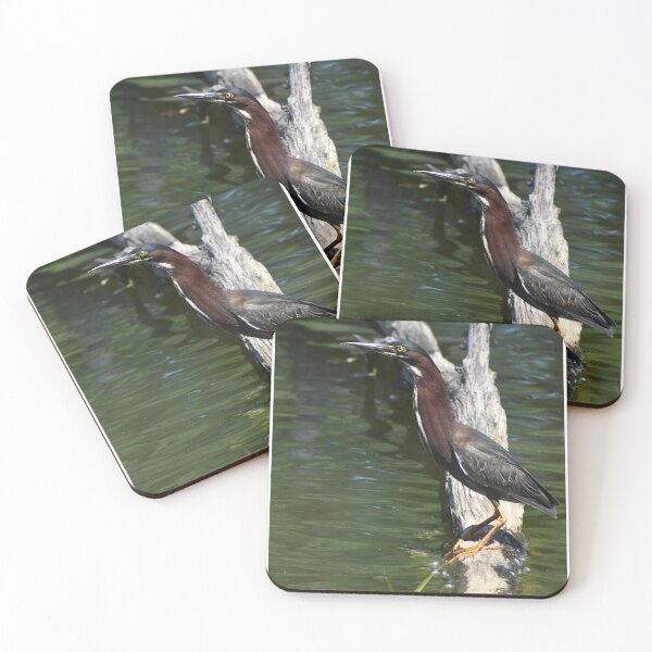Item preview, Green Heron designed and sold by mmcpix.