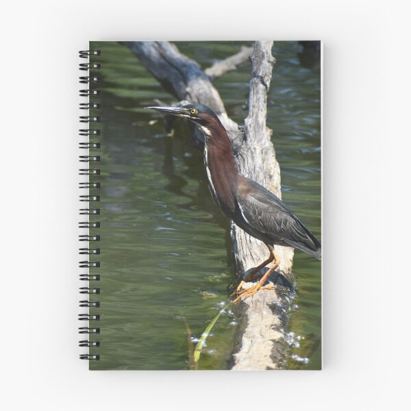 Item preview, Green Heron designed and sold by mmcpix.